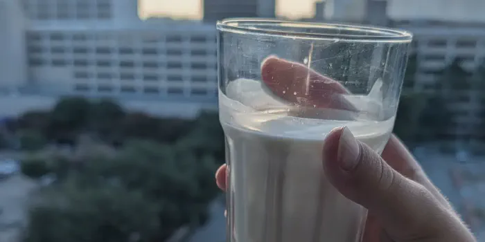 Tiger Nut Horchata (Orxata de Xufa)