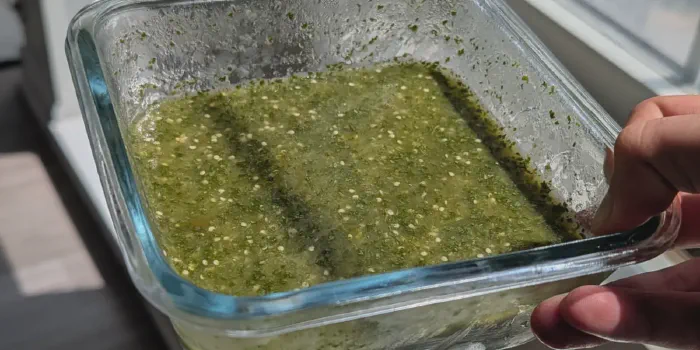 Salsa Verde